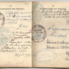 Polish passport (second part)