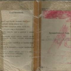 Military ID card
