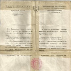 Swiss pass document