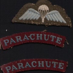 John parachute regiment flashes