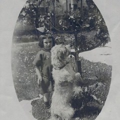 patanson01