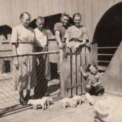 Switzerland Saskia in the pig pen, 1957