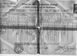 Cecille death certificate