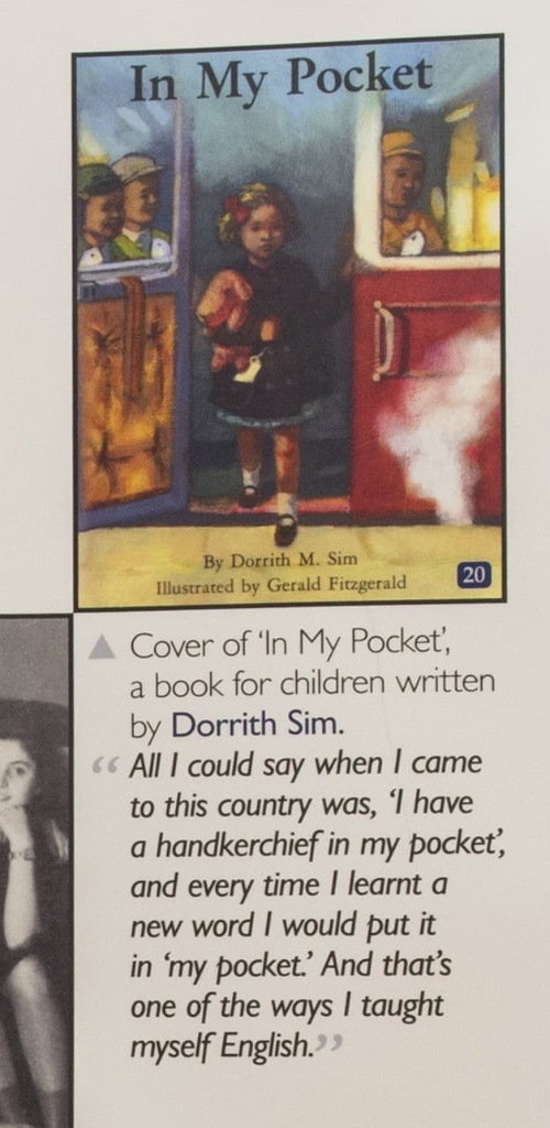 In My Pocket by Dorrith M. Sim
